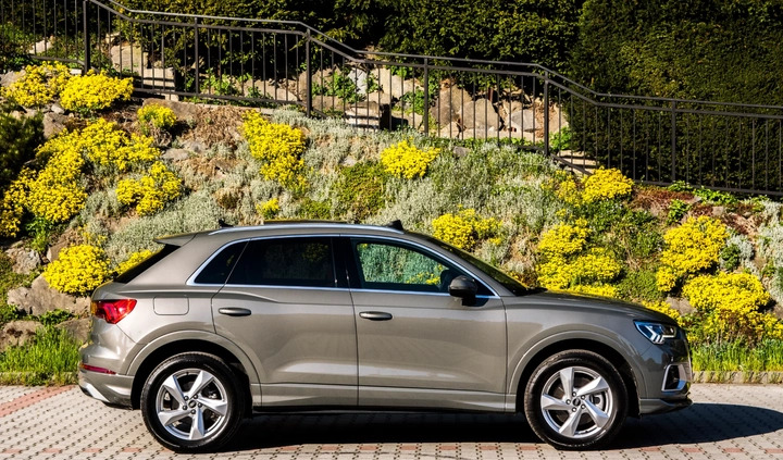 Audi Q3 cena 136500 przebieg: 17000, rok produkcji 2021 z Głuchołazy małe 704